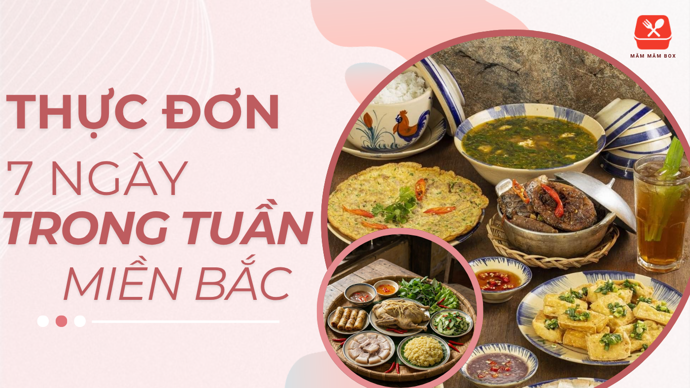Thực đơn 7 ngày trong tuần miền bắc vừa ngon vừa tiết kiệm, đủ chất, dễ nấu cho cả nhà. Bữa cơm đậm đà chuẩn vị mỗi ngày không lo tốn kém. Khám phá ngay!