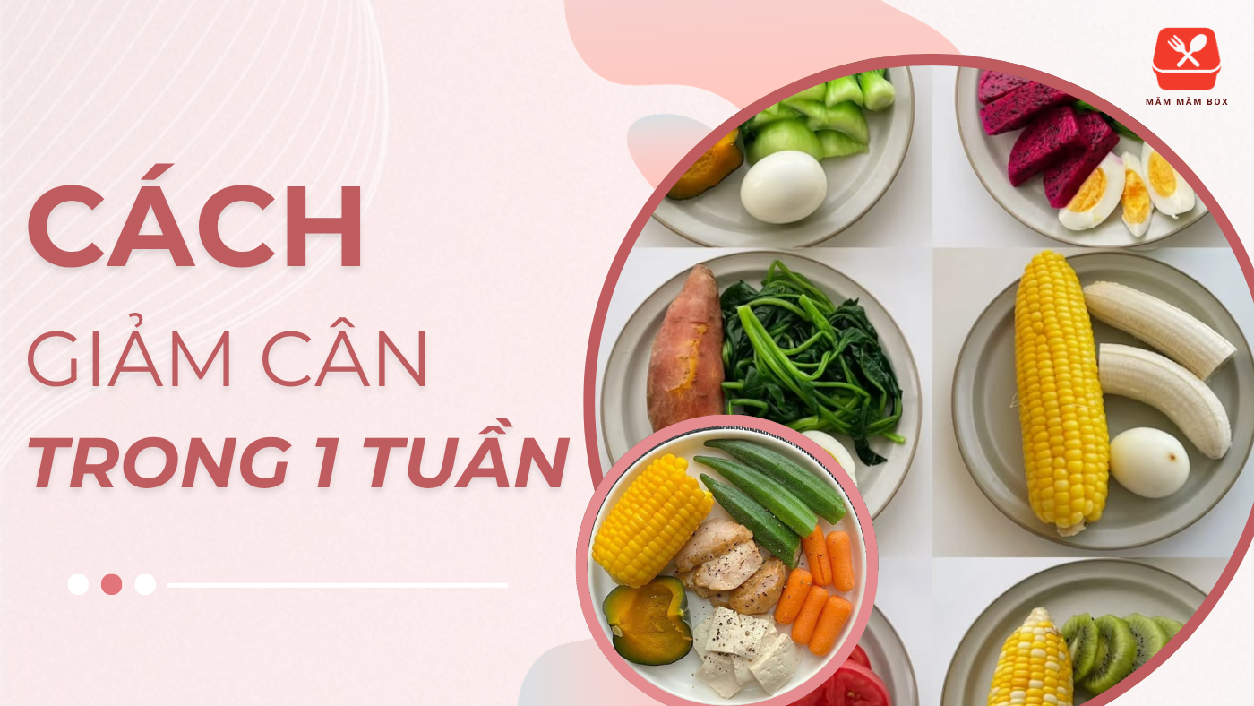 Cách giảm cân trong 1 tuần hiệu quả, an toàn, không nhịn ăn, dễ thực hiện mỗi ngày. Vóc dáng thon gọn nhanh bền vững không lo tăng cân trở lại. Xem ngay!