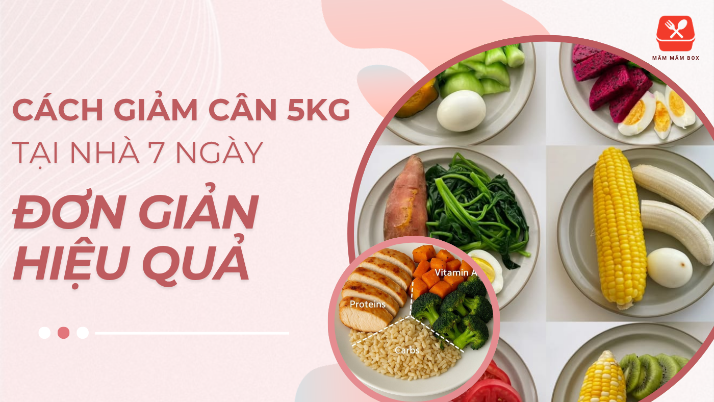 Giảm 5kg cách giảm cân tại nhà trong 7 ngày, ăn đủ sáng trưa tối, không nhịn đói không mất sức Bí quyết thon gọn bền vững dành riêng cho người bận rộn không có thời gian tập gym