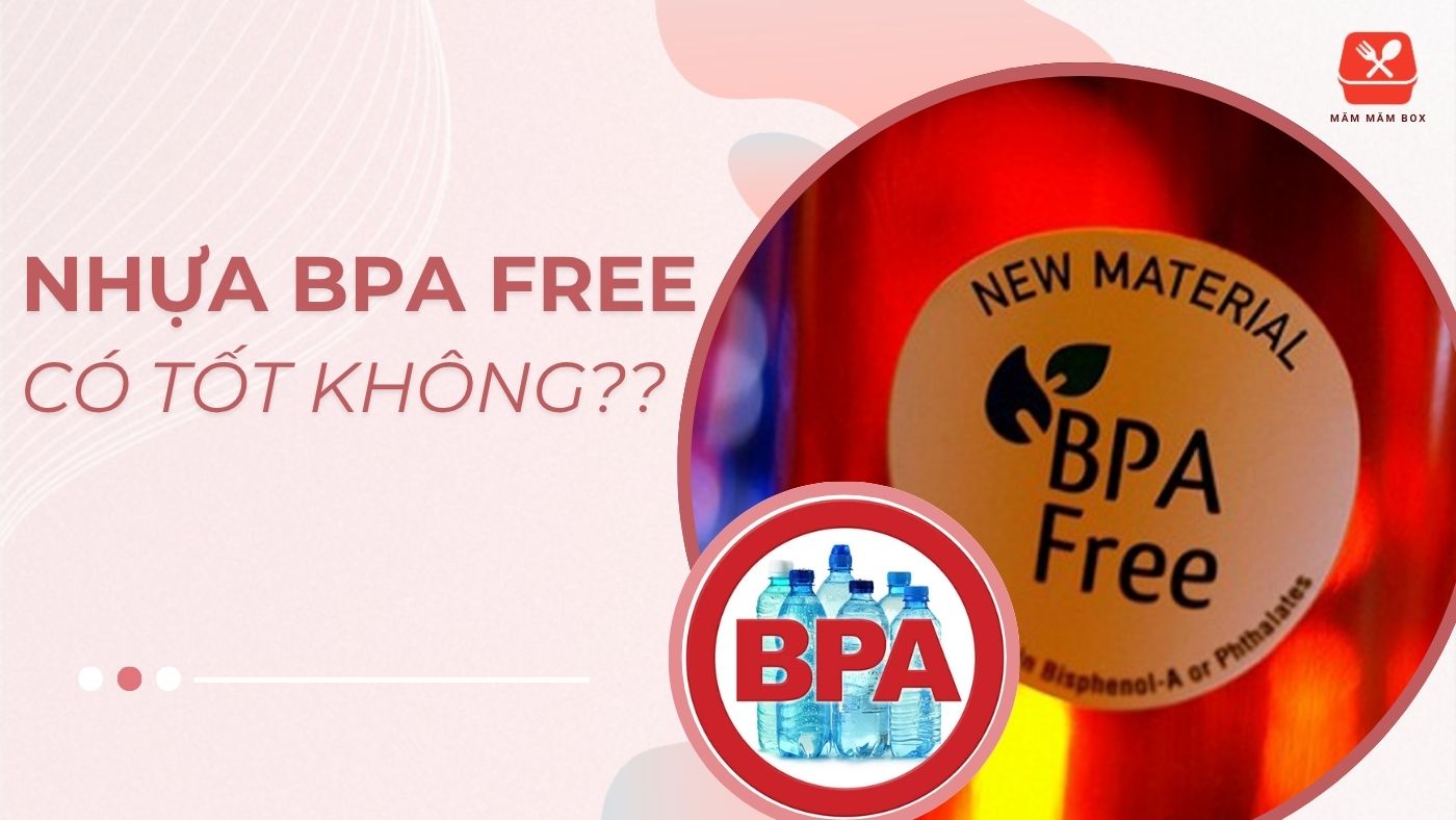 Giải Đáp thắc mắc nhựa BPA free có tốt không, an toàn không