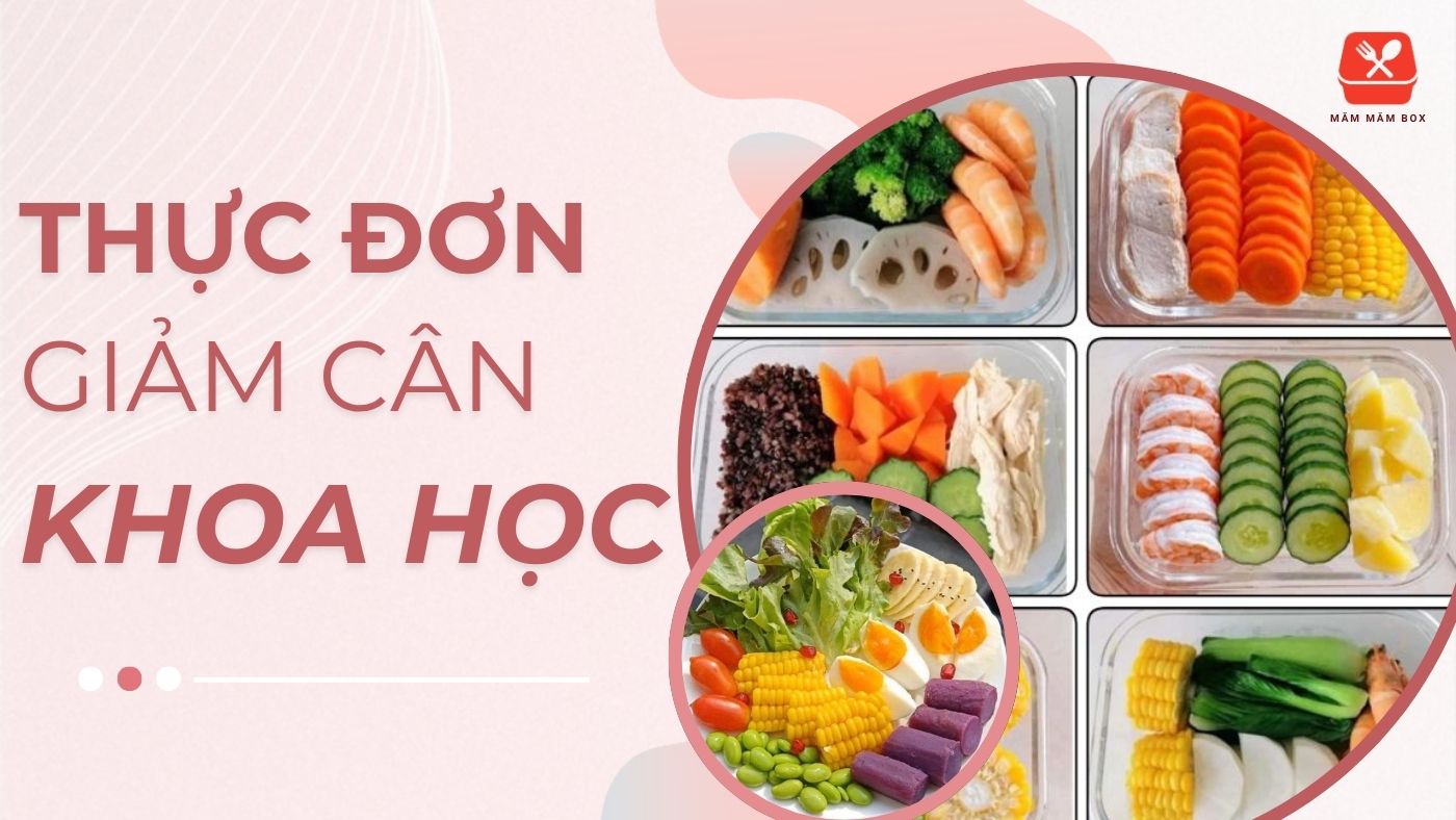Việc tự tay chuẩn bị những hộp cơm dinh dưỡng mang đi làm giúp bạn dễ dàng theo sát mục tiêu kiểm soát cân nặng.