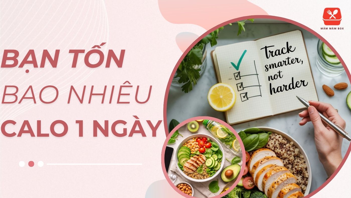 Khám phá 1 ngày cần bao nhiêu calo để duy trì cân nặng ổn định cho học sinh, sinh viên và dân văn phòng.
