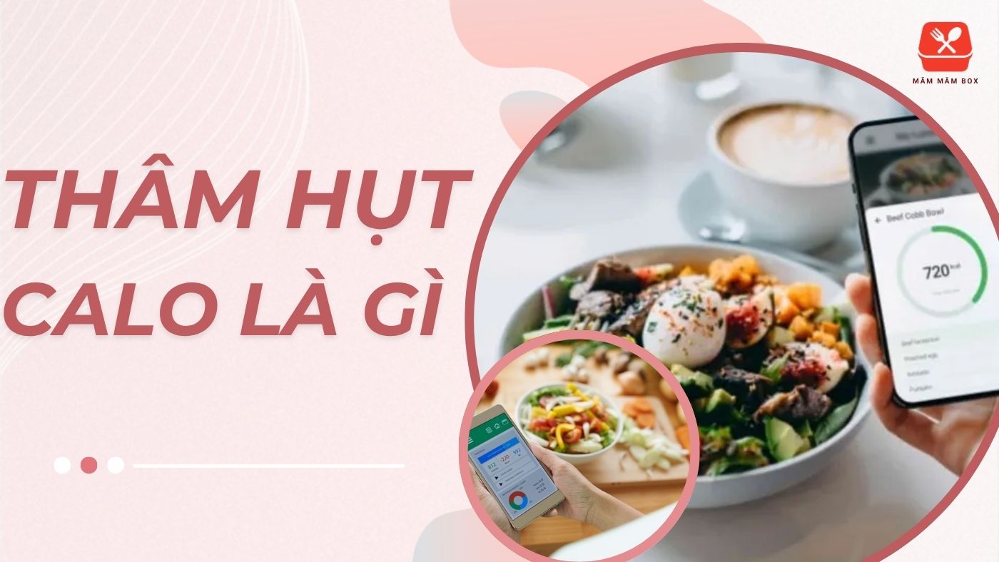 Thâm hụt calo là gì kiến thức giúp bạn giảm cân đúng cách