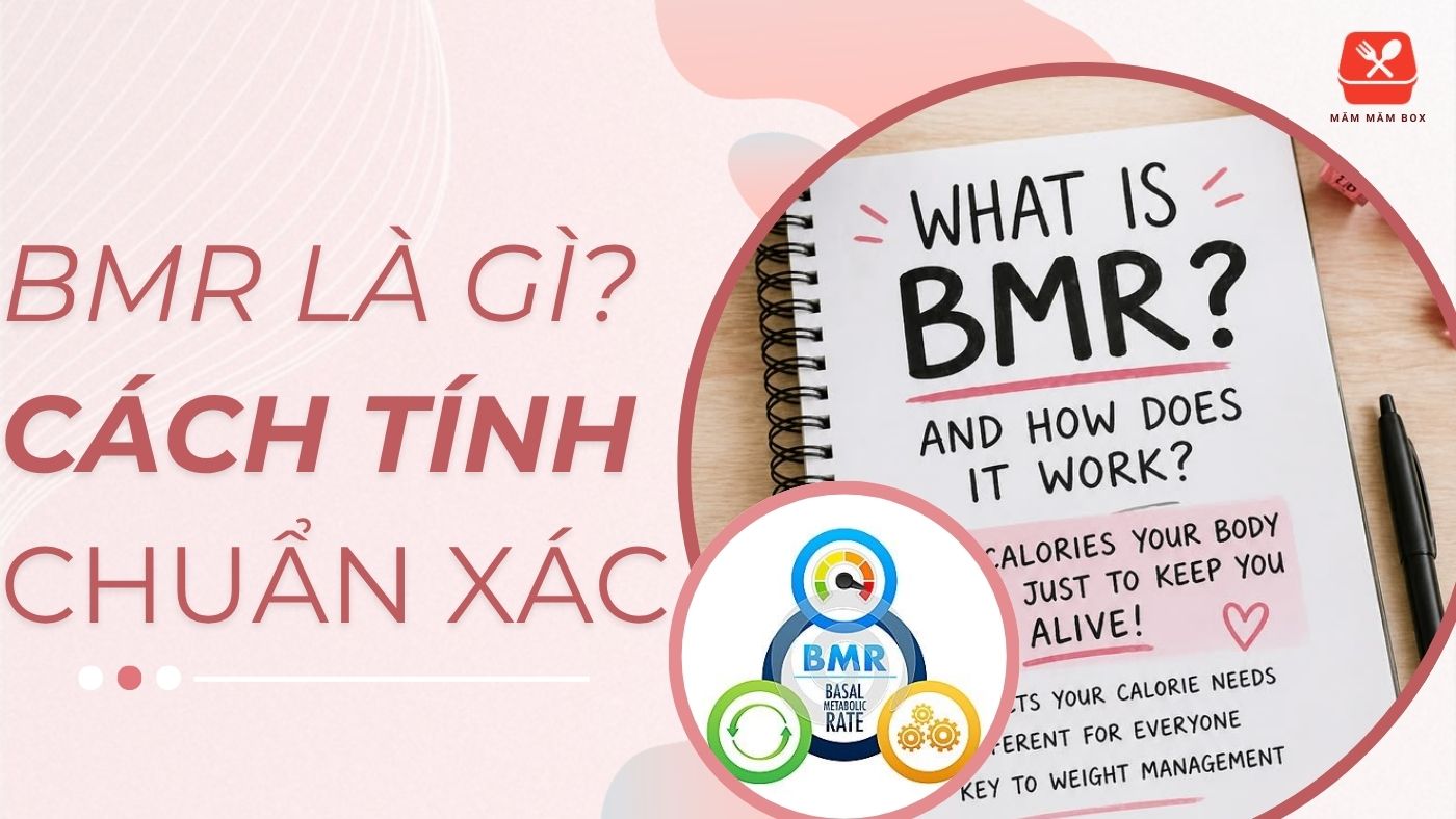 BMR là gì? Giải thích chi tiết cách tính chuẩn xác cho cơ thể