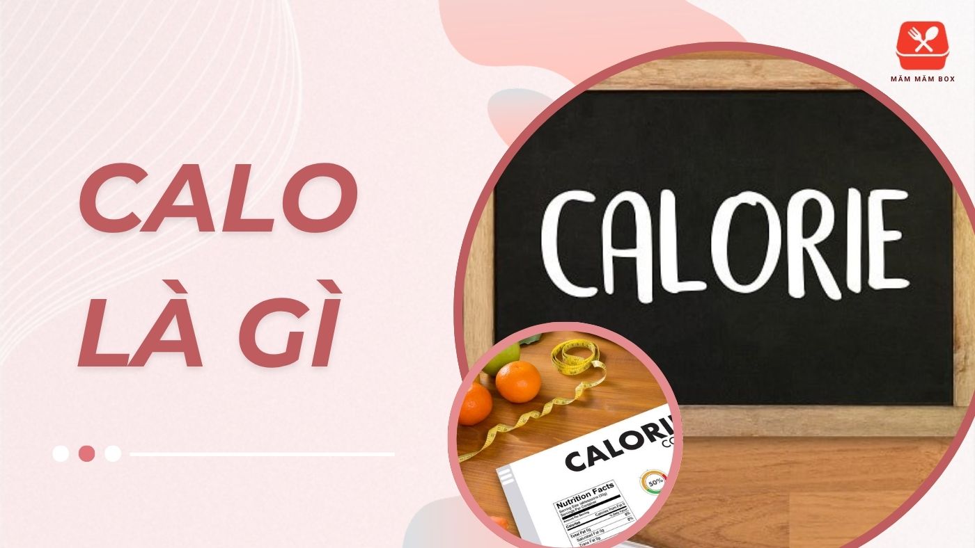 Calo là gì? Là đơn vị năng lượng cơ thể cần mỗi ngày. Nắm rõ calo giúp bạn ăn uống đúng cách, kiểm soát cân nặng hiệu quả. Khám phá kiến thức ngay hôm nay!