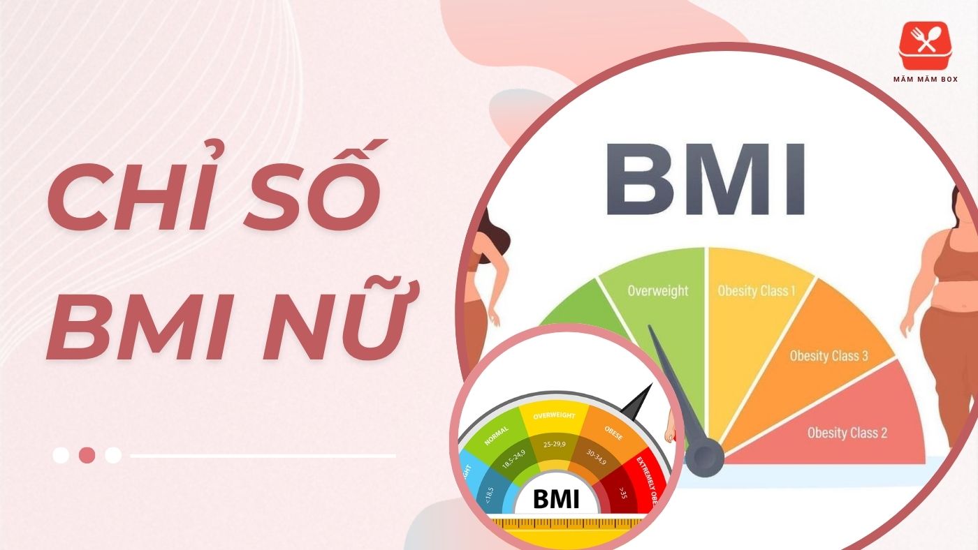 Chỉ số bmi nữ chuẩn từ 18.5 đến 24.9. Hiểu đúng bmi giúp bạn kiểm soát cân nặng, ăn uống khoa học, duy trì vóc dáng lý tưởng bền vững. Xem ngay hôm nay!