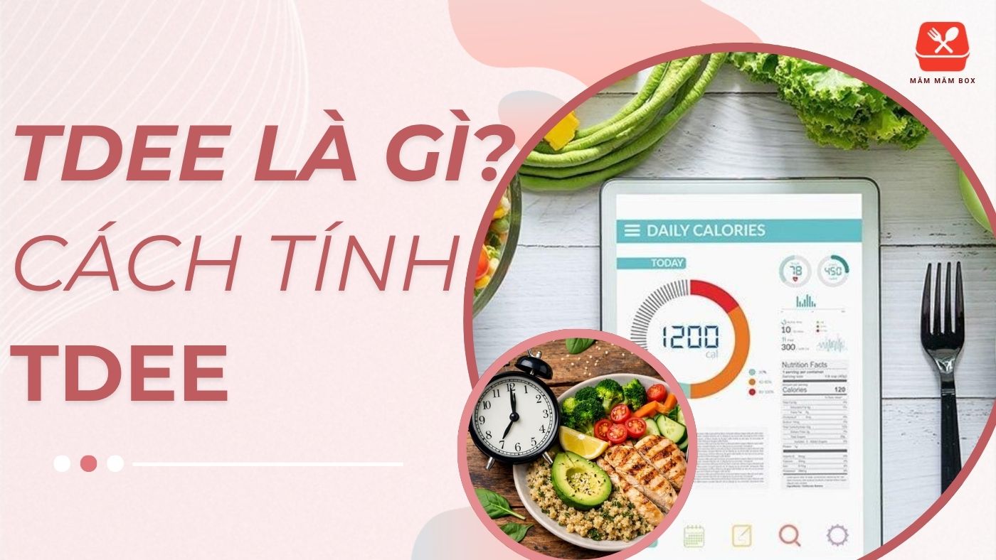 Công thức toán học hỗ trợ tính TDEE chuẩn xác theo chỉ số khối cơ thể giúp thiết lập thực đơn hằng tuần lý tưởng.